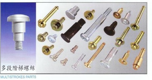 Step screw